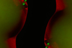 012424_BOUDOIR_CRISTINA_DOPICO_JPEG-2048px-DERECHA_RAFAMILLANFOTOGRAFIA_644200618-140